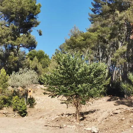 Adorable Tente Avec Parking Gratuit Sur Place La Ciotat