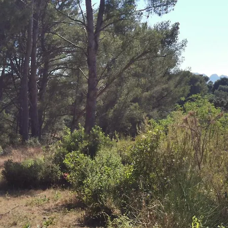 Camping Adorable Tente Avec Parking Gratuit Sur Place La Ciotat